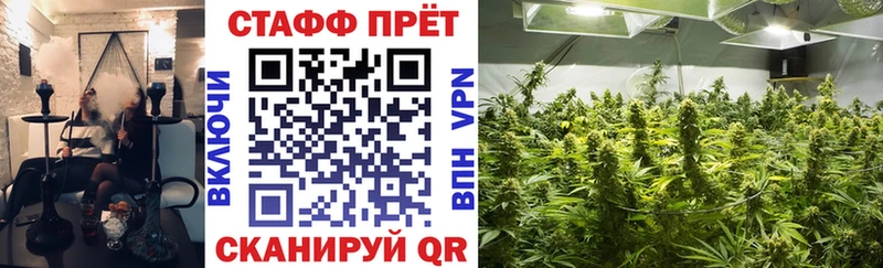 Где можно купить наркотики Ленск Псилоцибиновые грибы Меф COCAIN ГАШИШ Марихуана