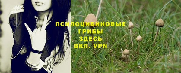 прущая мука Армянск