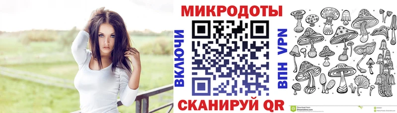 Галлюциногенные грибы Magic Shrooms  цена наркотик  Ленск 